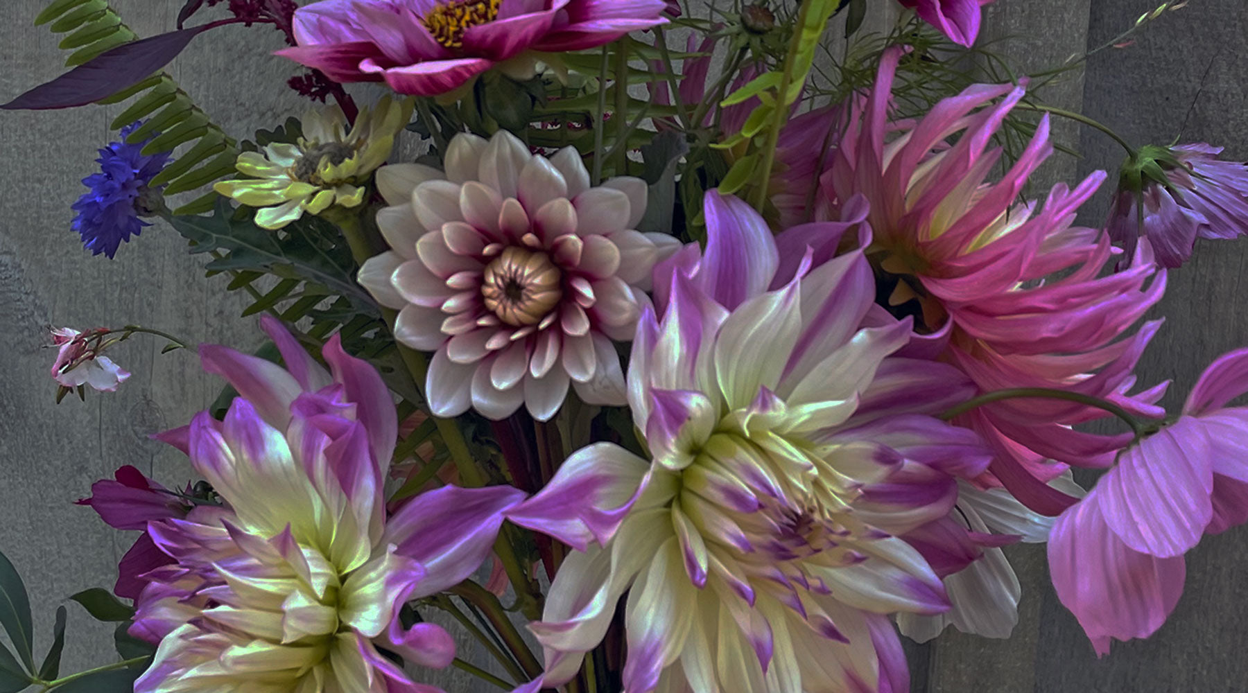 The story behind Nomadic Fiori