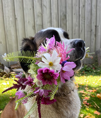 Flower Farm CSA