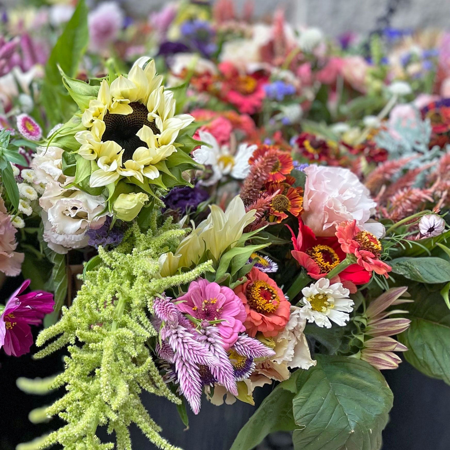 Give a gift of Flowers or Botanical Products