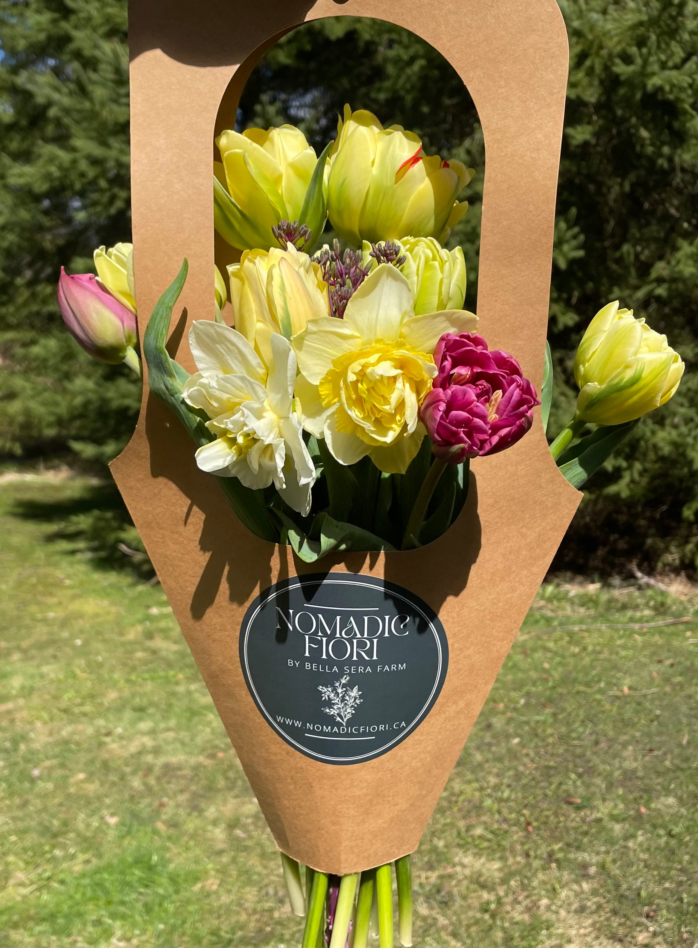 3 Week Specialty Tulip Subscription