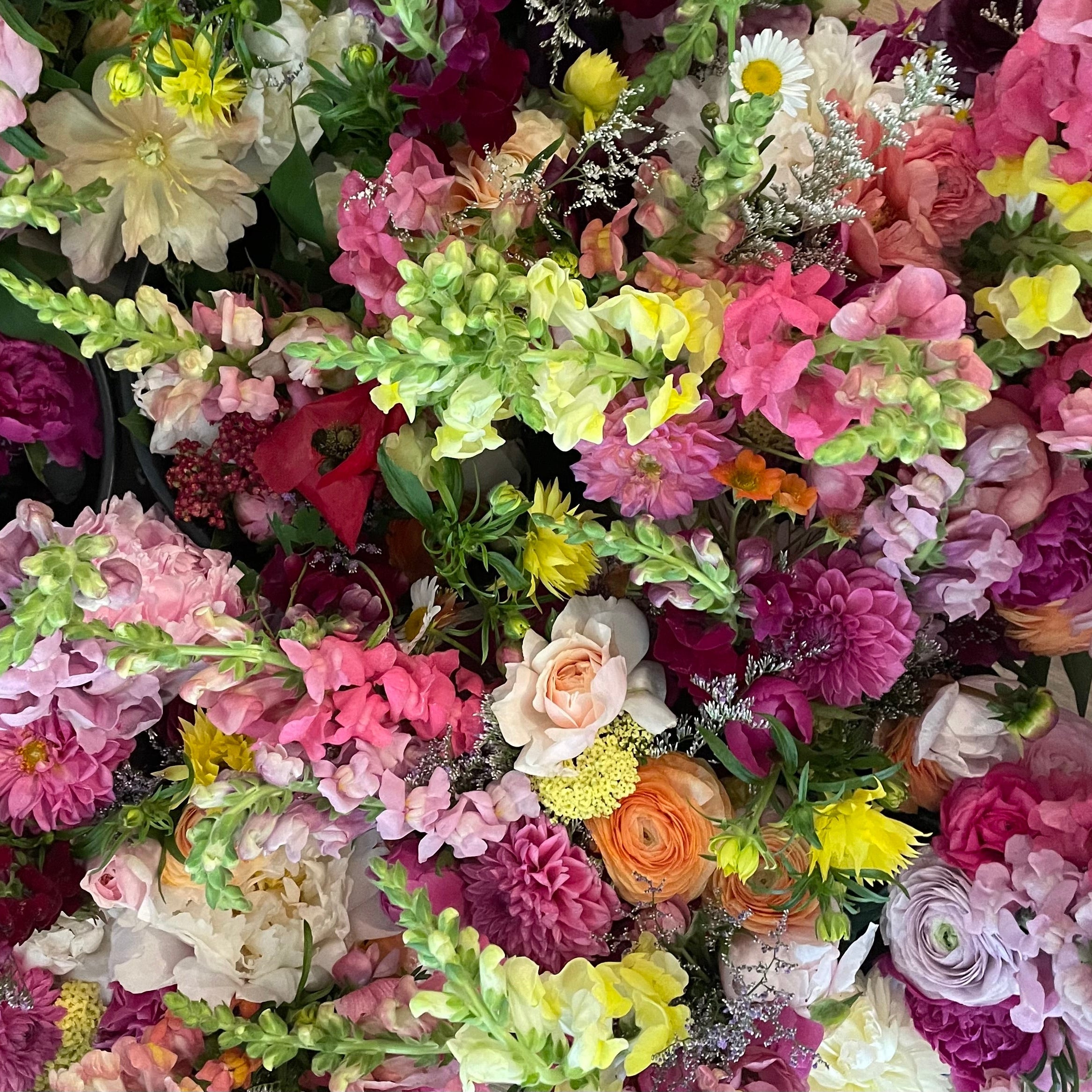 Floral Subscriptions