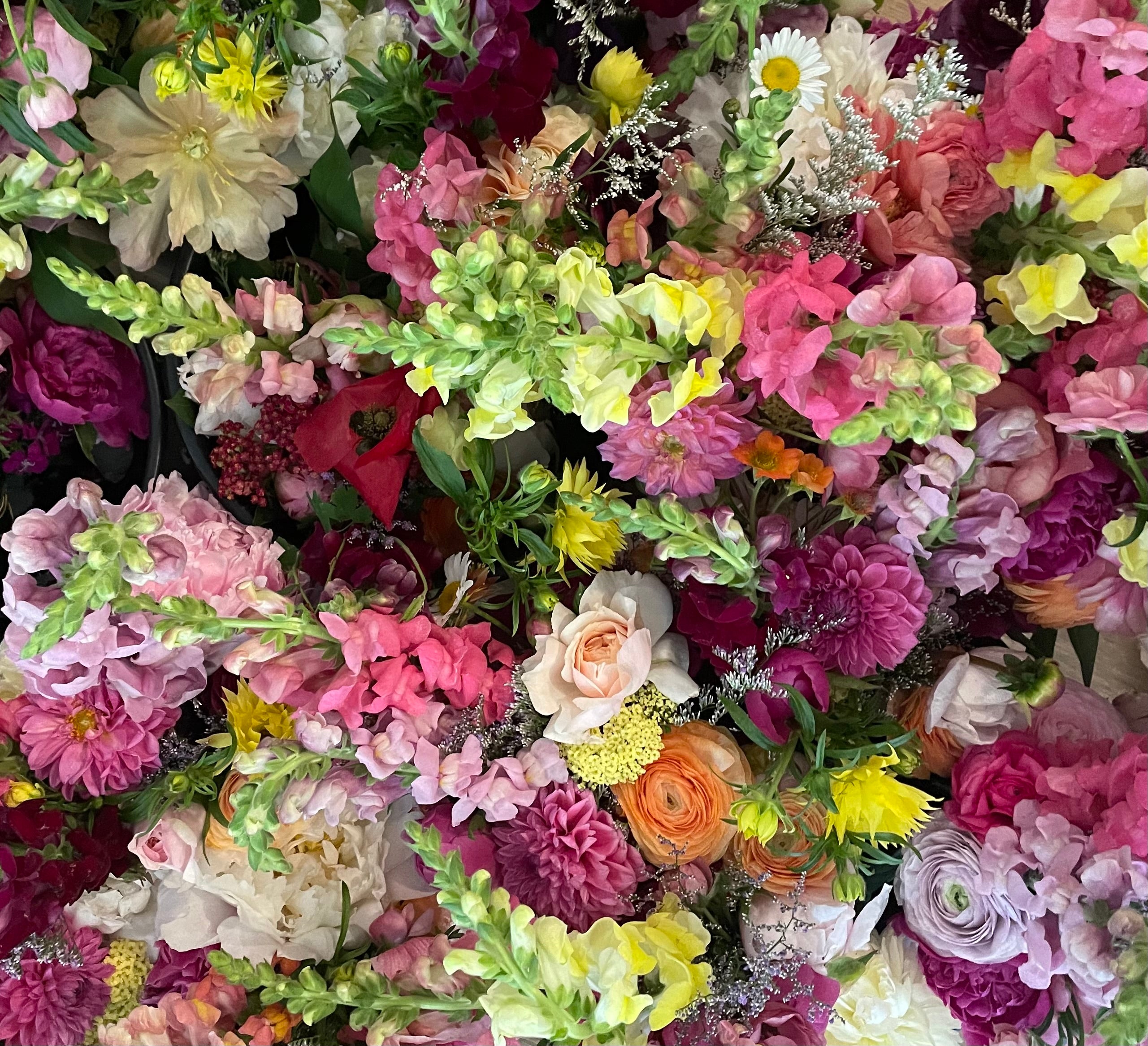 Spring Awakens: 6-Week Seasonal Flower Subscription